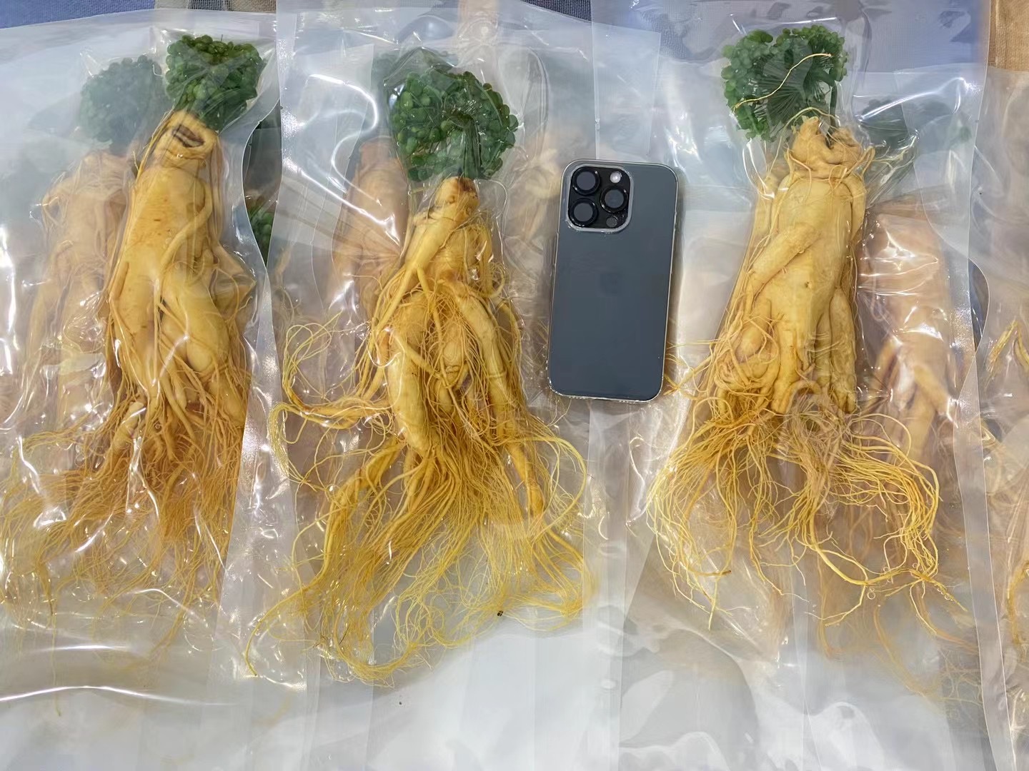 20年鲜人参超低温储存场景：-40℃超低温冰箱内整齐码放食品级铝箔真空包装袋，每袋标注"2023林下参·净重100g·采挖日期2023.09.15"