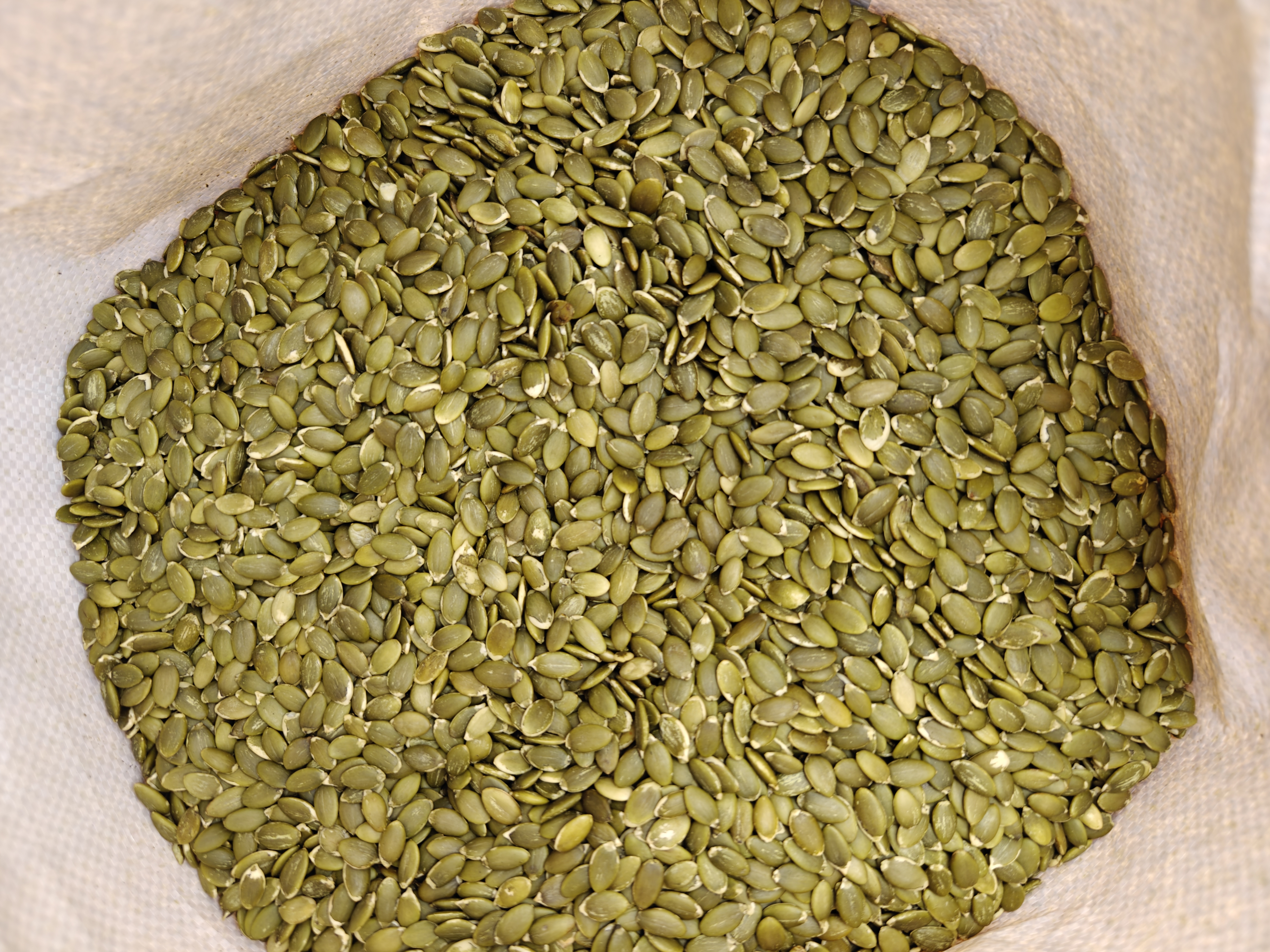 南瓜籽油胶囊成分分析图