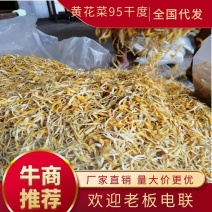 【推荐】祁东保鲜黄花菜，九五干度，适应做凉拌菜，量大价优