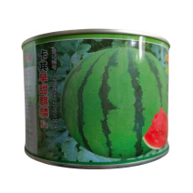 卡其早甜麒麟西瓜种子早熟甜脆多汁皮薄大果易坐果大红瓤西