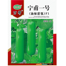瓠瓜种子宁甫一号油绿甜瓠子瓜10g早熟耐高温基地专