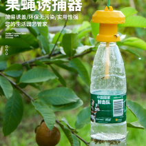 果蝇诱捕器果园菜地瓜果实蝇针蜂桔小实蝇引诱捕蜂器昆虫飞虫