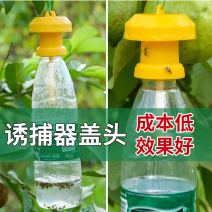 【升级款】诱捕器果园菜地瓜果实蝇针蜂桔小实蝇引诱捕蜂器