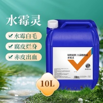 水霉病水霉净水霉剂鱼虾腐皮白毛出血烂腮烂身赤皮水产水霉清
