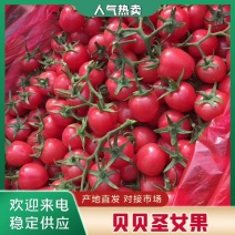 圣女果,贝贝…千喜，釜山88，大量上市，量大，一手货源