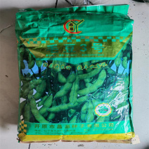 大粒王新鲜食毛豆种子毛豆3号种子大豆种籽特早毛豆20斤袋