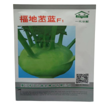 福地苤蓝种子青苤兰种子球茎甘蓝种子一代杂交高产紫丕兰早