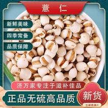 正宗薏仁米新货特级小薏仁米贵州薏仁米干货苡米苡仁五谷杂粮
