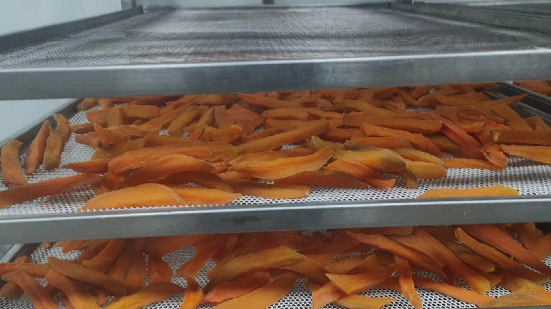 南瓜烘干设备示意图