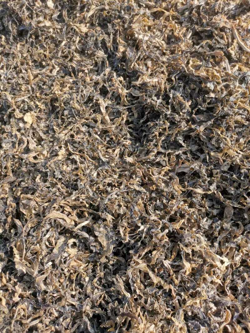 正宗雪里红梅干菜干净卫生保质保量欢迎老板咨询选购