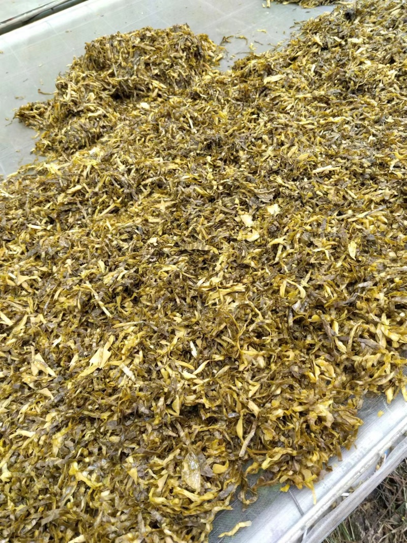 正宗雪里红梅干菜干净卫生保质保量欢迎老板咨询选购