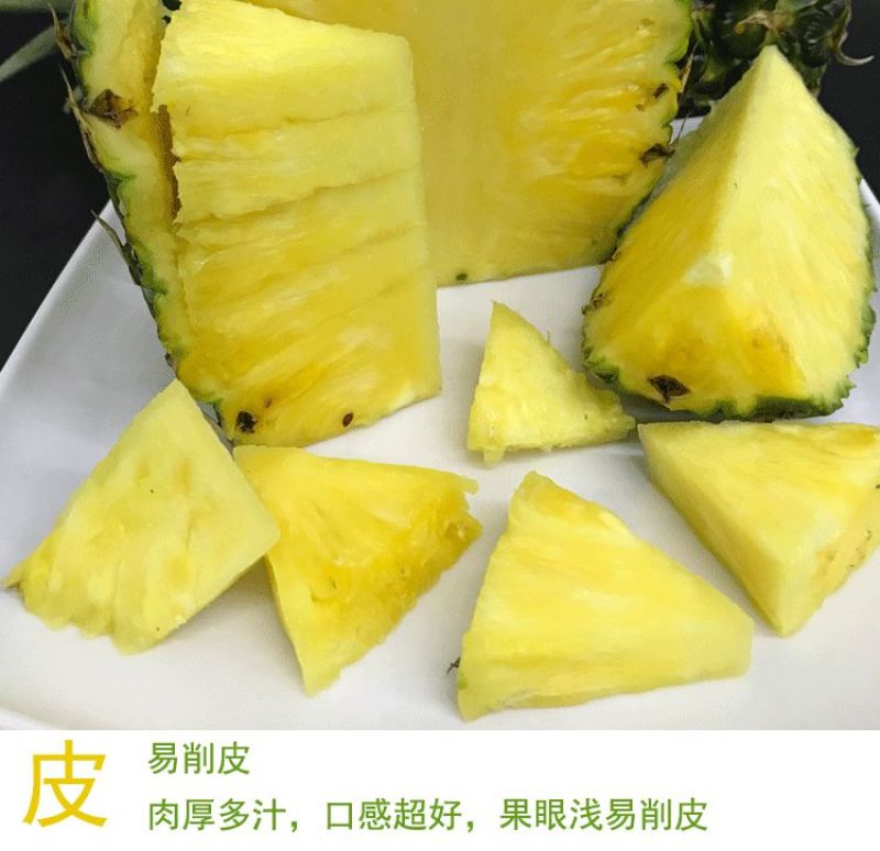 西双版纳金钻凤梨5斤新鲜水果全年供应电商一件代发云南菠萝