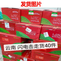 蓟马速溶组合套装蓟马蚜虫通杀速效长效厂家直销