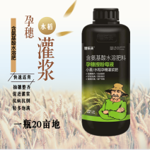 小麦水稻硅肥增产用叶面肥孕穗灌浆肥促进分蘖穗大粒饱抗倒伏