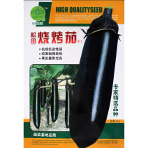 松田烧烤茄种子紫黑发亮粗长茄种籽早熟高产茄子蔬菜籽春