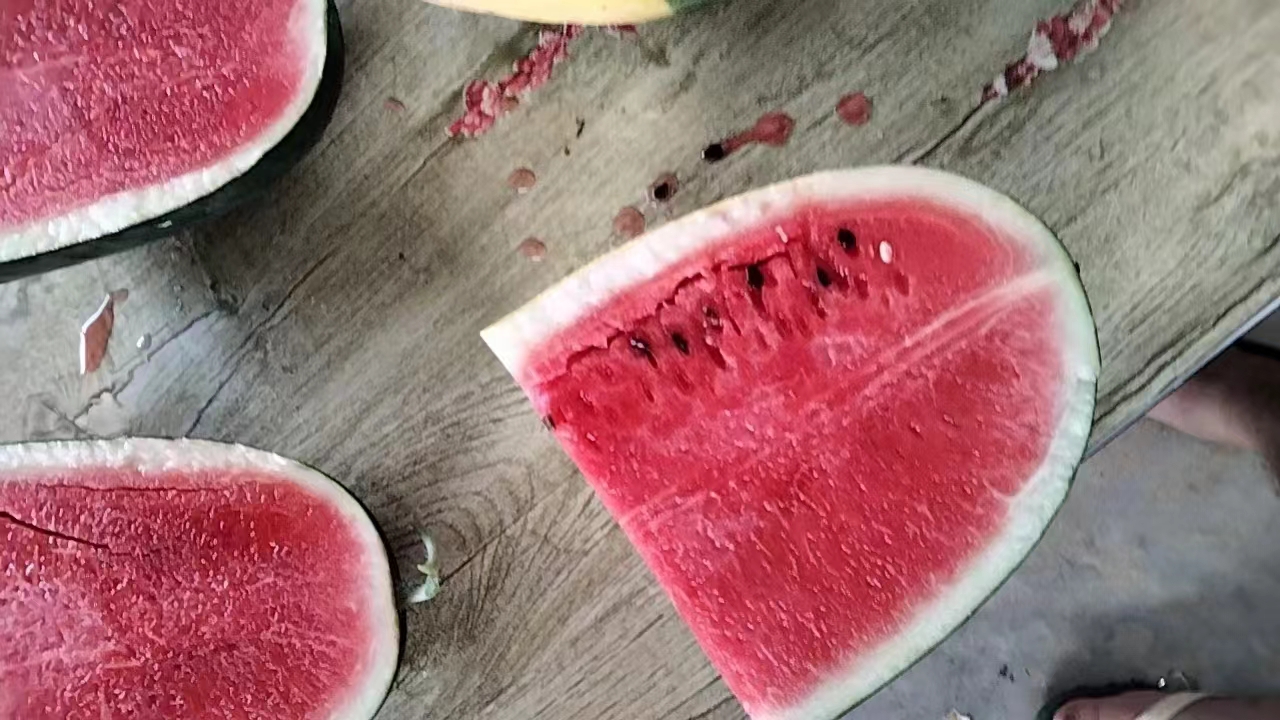 新鲜黑美人西瓜被切开后摆放在果盘中,果肉红润多汁,周围点缀薄荷叶 新鲜西瓜切开摆盘