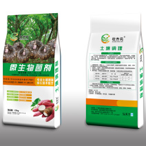 魔芋款微生物菌剂土壤调理剂有机肥广西肥料厂家批发