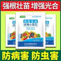 农用小苏打碳酸氢氢钠蔬菜增产壮苗除虫除菌农药残留作物预防