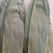 50斤绿粽叶