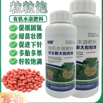 珺颜花生膨大粒粒饱增产增收多胎多果籽粒饱满促进下针有机水