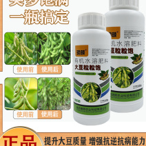 珺颜大豆粒粒饱高产增产增收专用叶面肥促根壮苗抗旱抗捞籽粒