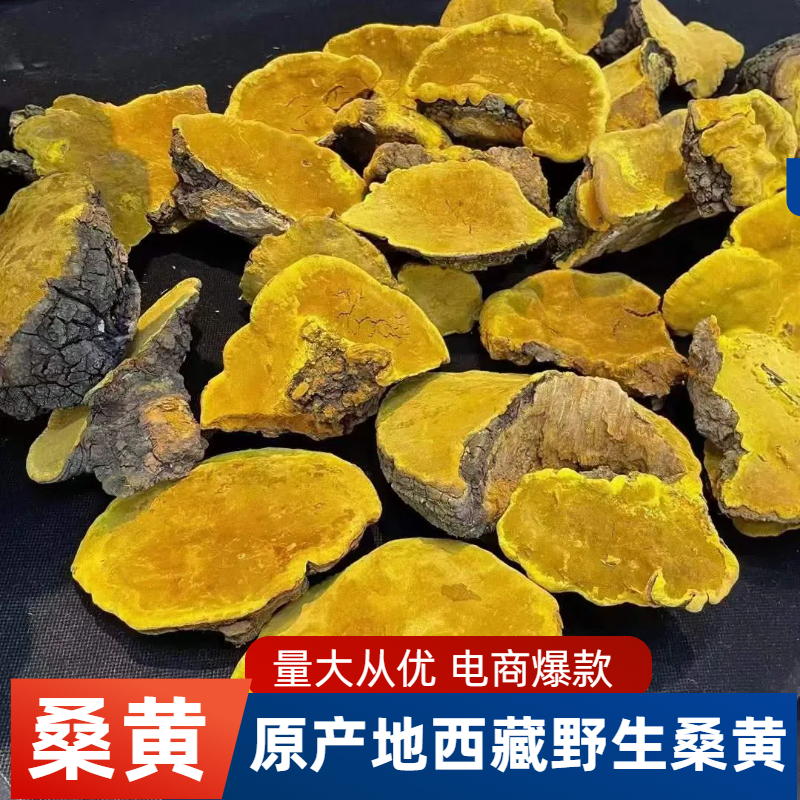 [桑黄批发]云南昆明官渡区桑黄 30.00元/公斤桑黄 桑黄暴马 _ 一亩田