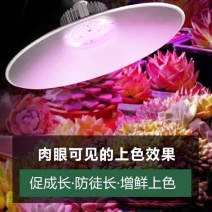植物生长灯LED温室大棚室内家用蔬菜盆栽花卉绿植多肉补光