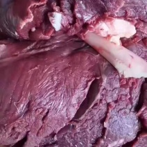 无杂质驴肉正宗餐饮家用
