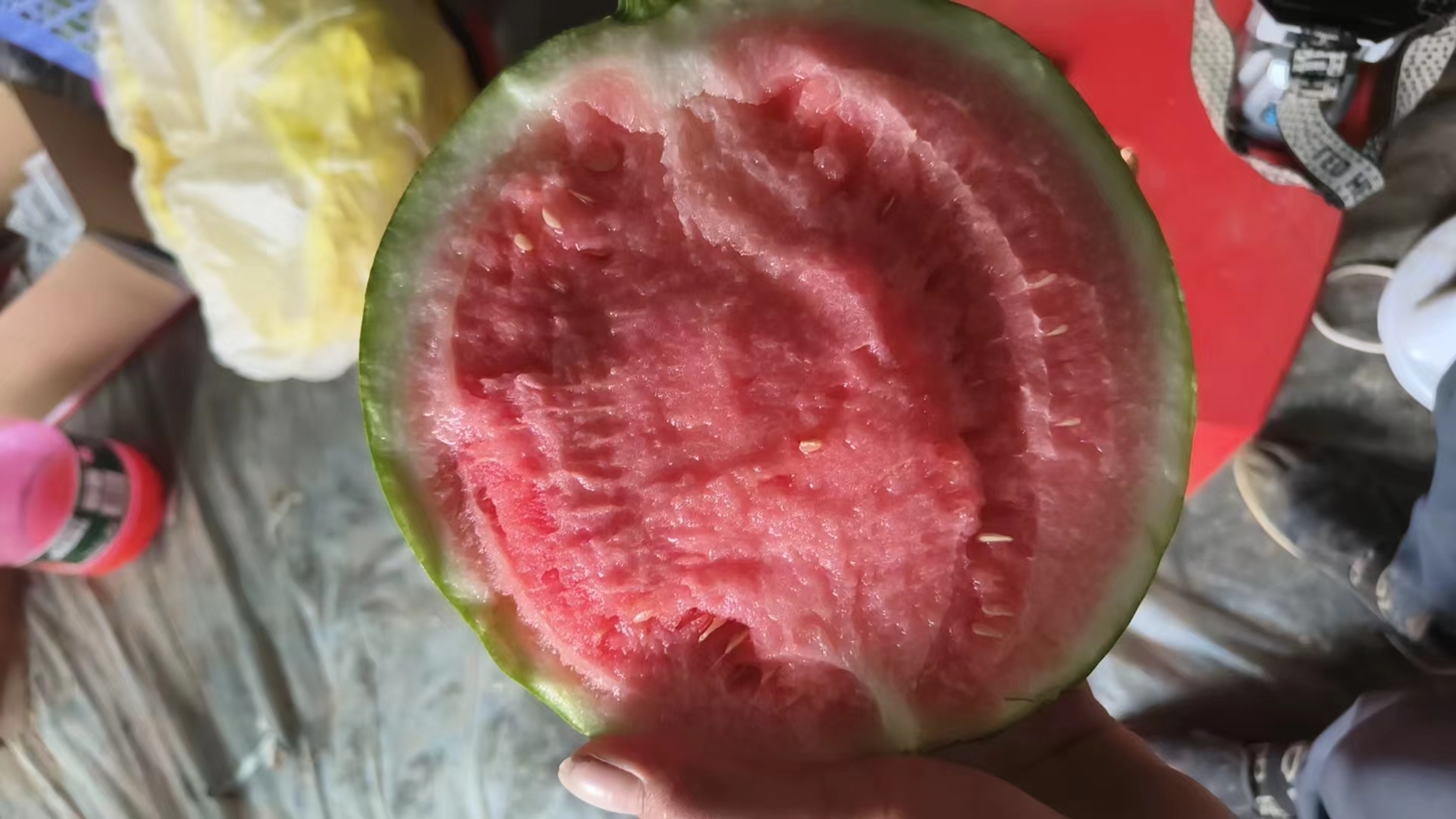 8424西瓜果肉与籽的细节图