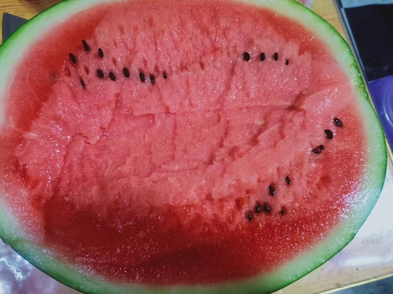 甜王西瓜切开特写
