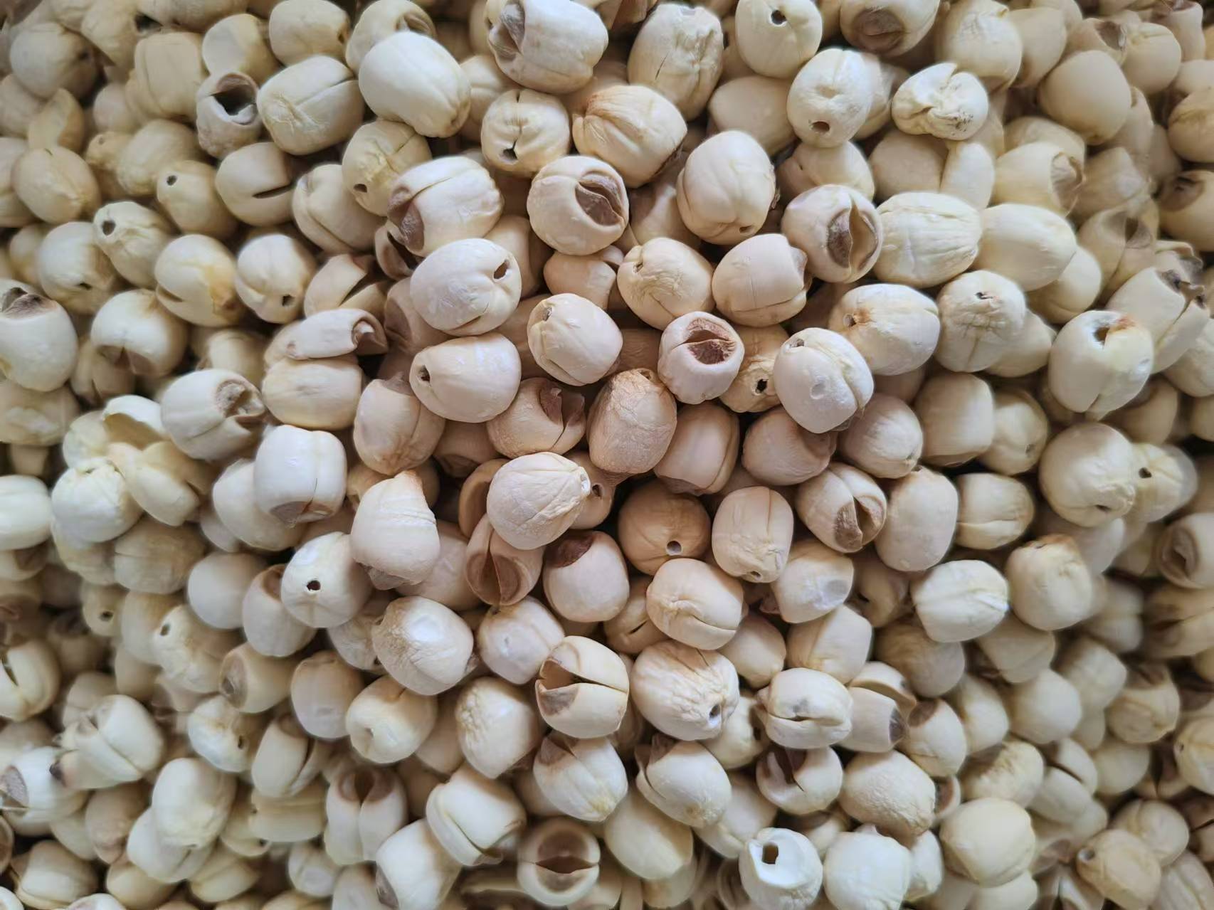 展示即食白莲米、莲蓉月饼、莲芯茶等多种白莲子深加工产品 白莲子深加工产品展示