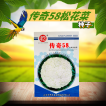 特早熟58天种植耐热基地优品春秋松花菜种子青梗花椰菜种