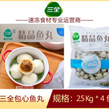 三全包心鱼丸麻辣烫关东煮火锅串串冒菜商用食材