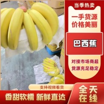 精品巴西蕉颜色金黄无华皮硬心黑心保质保量全国发货量大从优