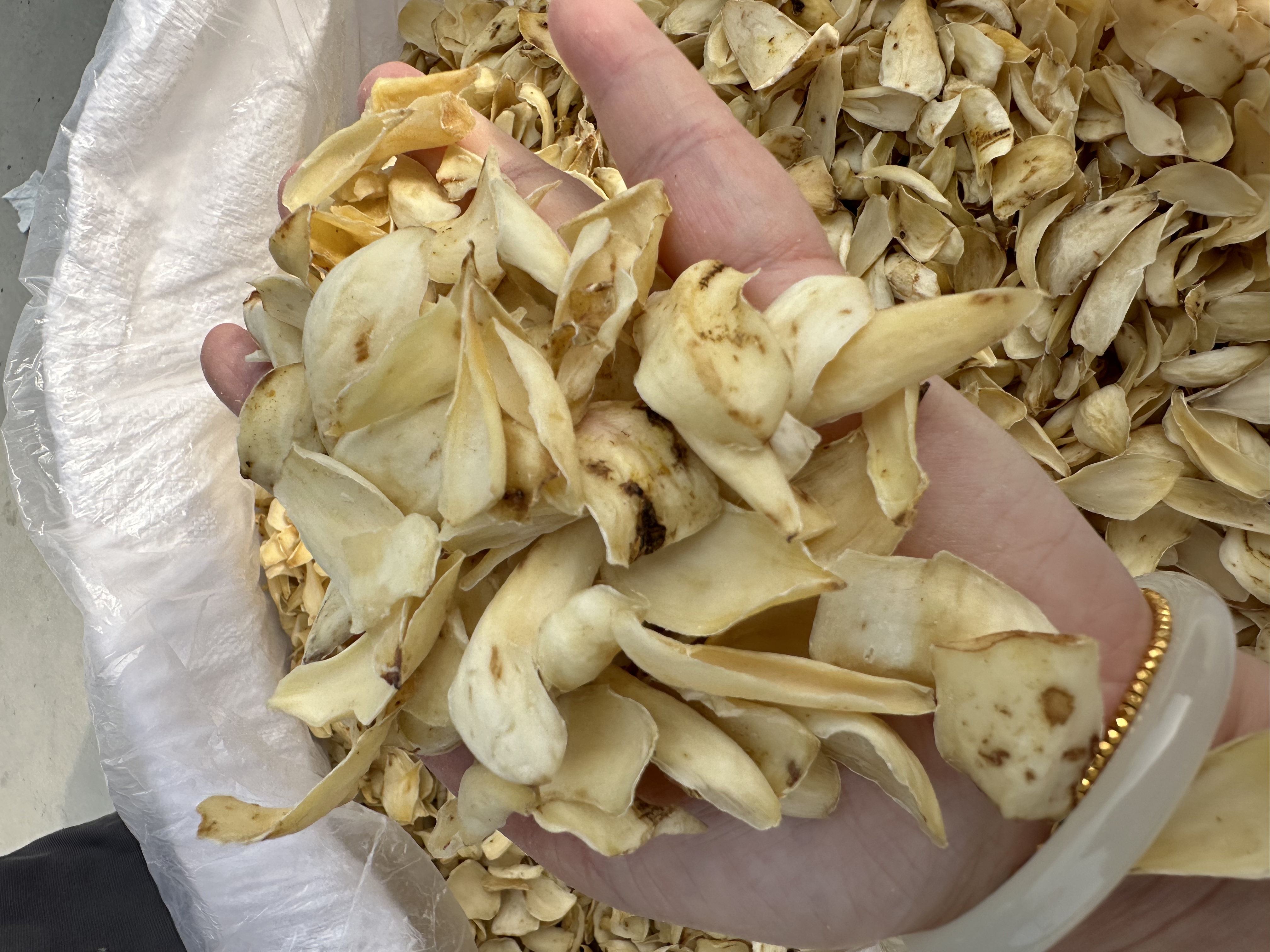 百合地黄汤药材组合图