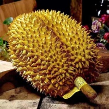 汇源榴莲全国包邮