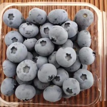 精品蓝莓诚信经营L25优瑞卡F6L11大量有货