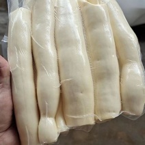 价格美丽规格齐全一手货源木薯