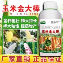 玉米金大棒促根壮苗促早熟强株耐旱涝抗倒伏专用氨基酸水溶肥