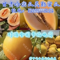 [牛]甘肃哈密瓜-民勤蜜瓜产地直发口感好糖度高日照充足可视频看货