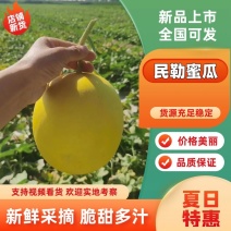 甘肃民勤蜜瓜，哈密瓜金红宝，糖分高多汁，可视频看货。