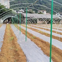 无支柱大棚骨架玻璃纤维杆循环使用支持定制