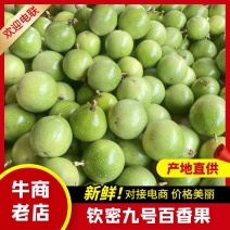 (精品)钦密九号百香果，百亩种植基地，支持视频看货选货