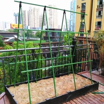 爬藤架豆角架蕃茄架葡萄架安装便捷循环使用