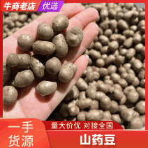 河北紫山药豆个头大货量大表皮干净杂志少按需求分拣打包视频看货