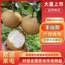 【优质】江苏梨丰水梨-秋月梨-产地直发-价格优惠-量大从优
