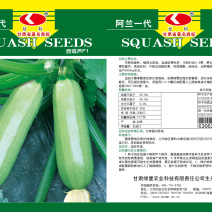 阿兰葫芦种子