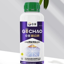 盐立消特种肥料纯生物有机酸、生物降盐消盐免深耕