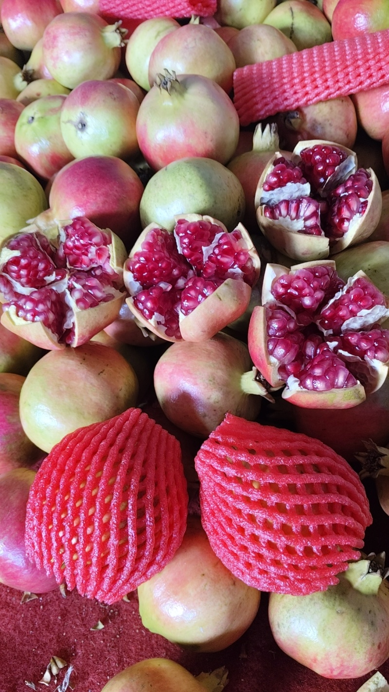 石榴小彩果石榴四川会理石榴大量上市品质好口感甜欢迎咨询