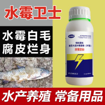 硫醚沙星水霉卫士鱼塘水霉病白毛赤皮烂鳃烂尾